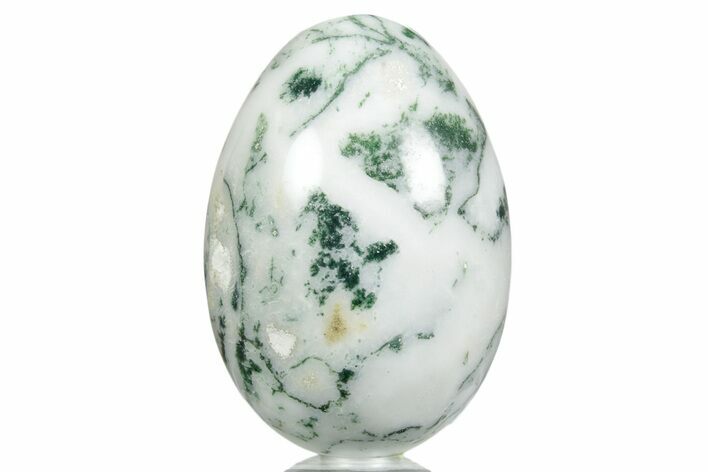 Polished Tree Agate Egg - India #356335